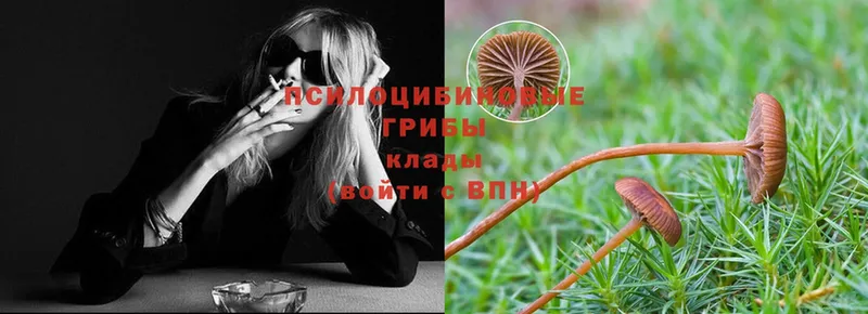 как найти закладки  OMG сайт  Галлюциногенные грибы Psilocybine cubensis  Омск 